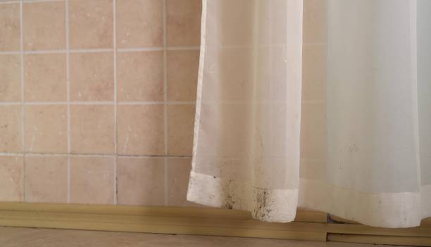 Best Mold Prevention Services  in Pinebluff, NC