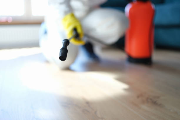 Best Post-Remediation Verification Testing  in Pinebluff, NC