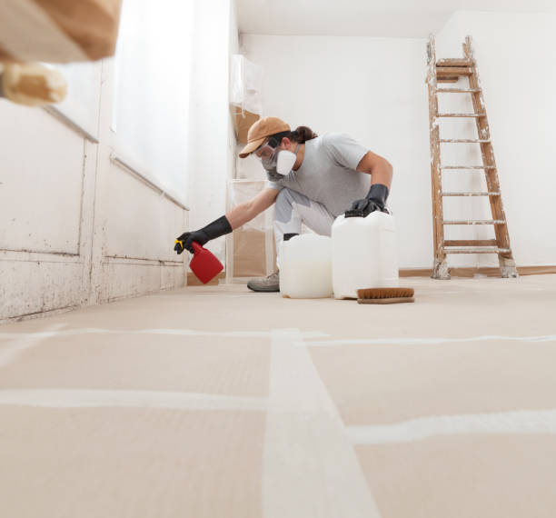 Best Basement Mold Removal  in Pinebluff, NC